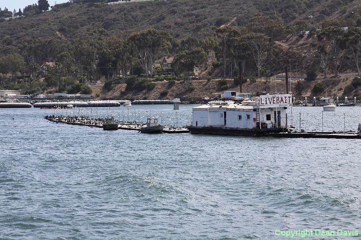 IMG_0080.JPG - Mission Bay Bait BargeCalifornia