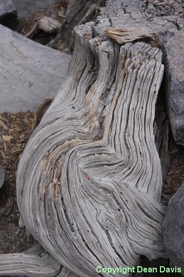 IMG_0211.JPG - Devils Post Pile, California