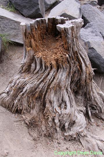 IMG_0220.JPG - Devils Post Pile, California