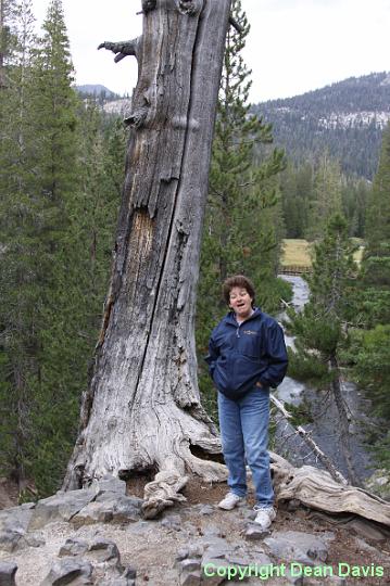 IMG_0231.JPG - Devils Post Pile, California