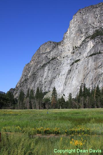 IMG_0255.JPG - Yosemite Valley, California