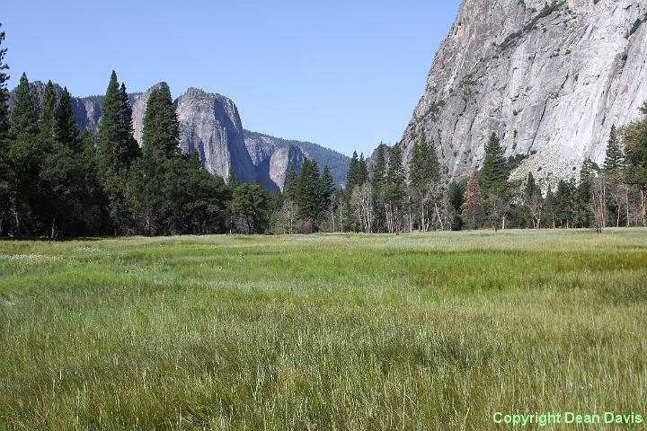 IMG_0260.JPG - Yosemite Valley, California