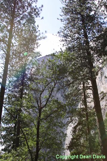 IMG_0269.JPG - Yosemite Valley, California