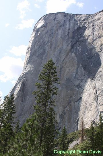 IMG_0272.JPG - Yosemite Valley, California