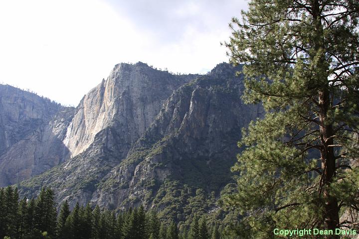 IMG_0302.JPG - Yosemite Valley, California