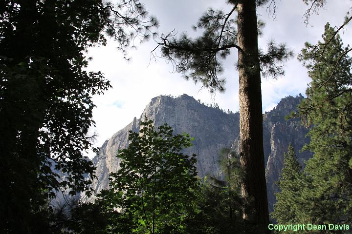 IMG_0304.JPG - Yosemite Valley, California