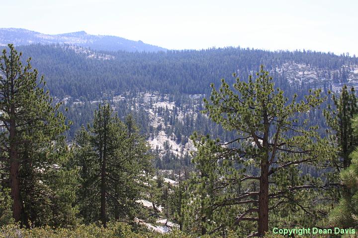 IMG_0312.JPG - Yosemite, California